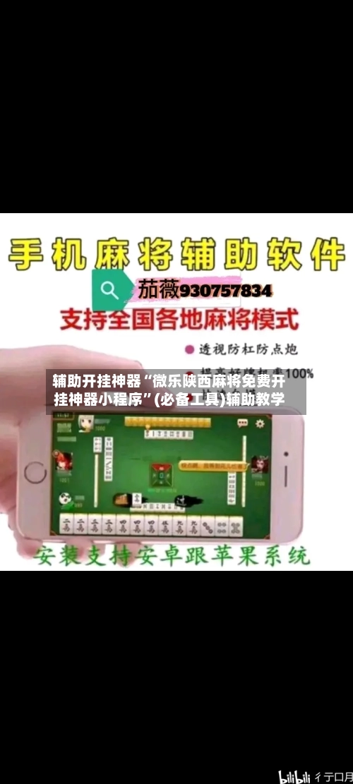 辅助开挂神器“微乐陕西麻将免费开挂神器小程序”(必备工具)辅助教学-第3张图片