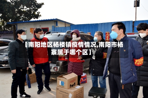 【南阳地区杨楼镇疫情情况,南阳市杨寨属于哪个区】