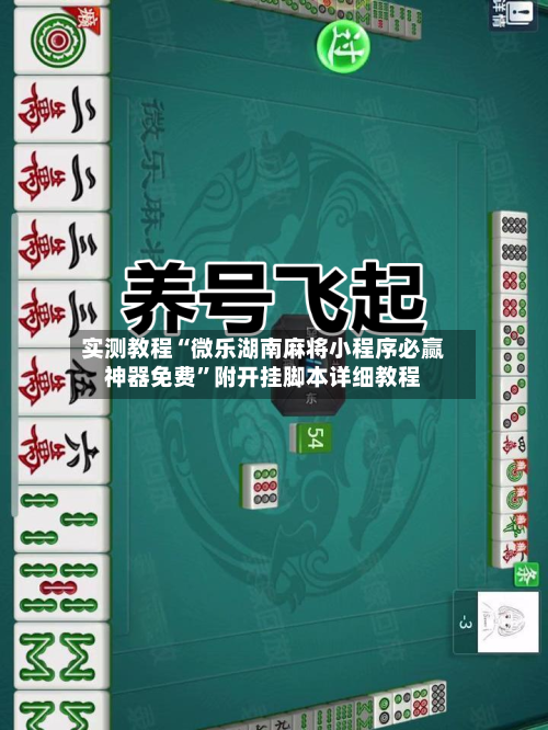 实测教程“微乐湖南麻将小程序必赢神器免费”附开挂脚本详细教程