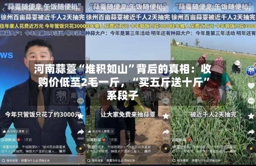 河南蒜薹“堆积如山”背后的真相：收购价低至2毛一斤，“买五斤送十斤”系段子