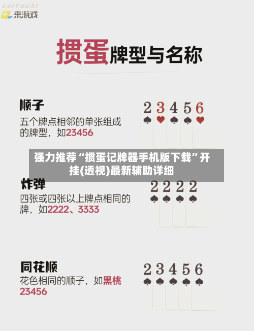 强力推荐“掼蛋记牌器手机版下载”开挂(透视)最新辅助详细-第2张图片