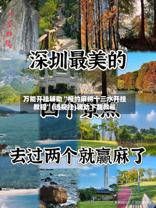 万能开挂辅助“相约麻将十三水开挂教程”(透视挂)辅助下载教程-第2张图片