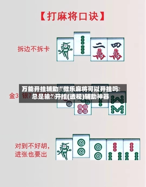 万能开挂辅助“微乐麻将可以开挂吗 总是输”开挂(透视)辅助神器-第2张图片