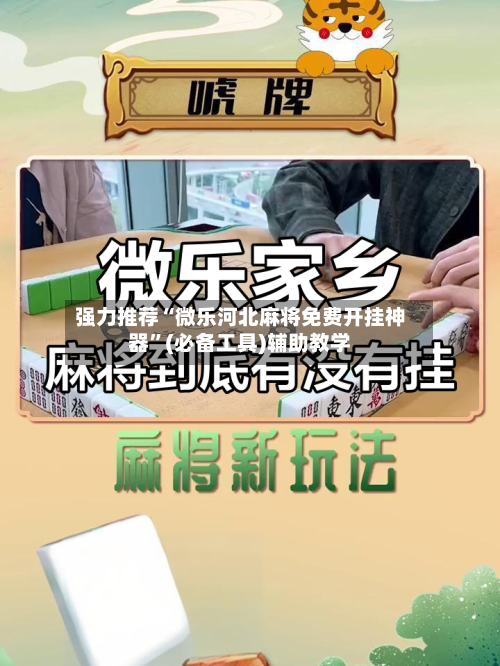 强力推荐“微乐河北麻将免费开挂神器”(必备工具)辅助教学-第2张图片
