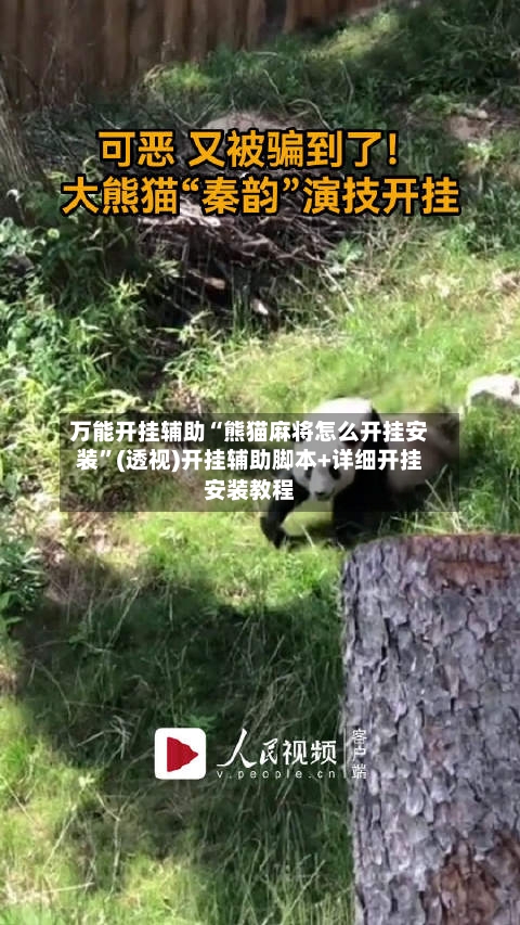 万能开挂辅助“熊猫麻将怎么开挂安装”(透视)开挂辅助脚本+详细开挂安装教程