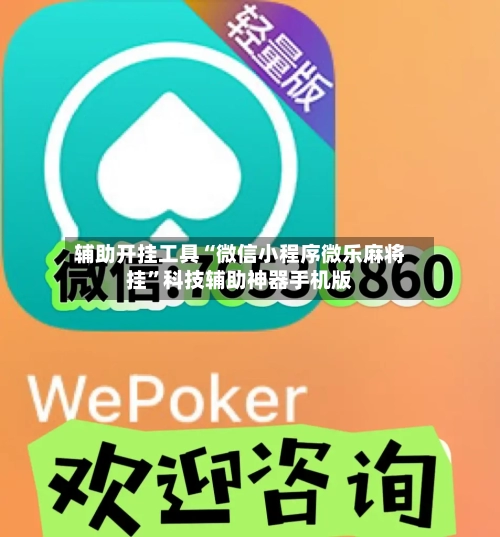 辅助开挂工具“微信小程序微乐麻将挂”科技辅助神器手机版-第3张图片