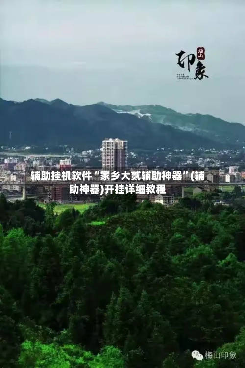 辅助挂机软件“家乡大贰辅助神器”(辅助神器)开挂详细教程