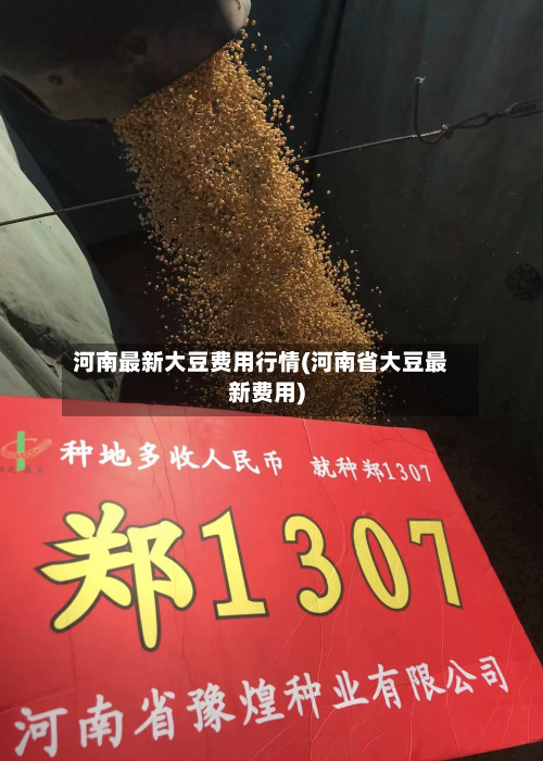 河南最新大豆费用行情(河南省大豆最新费用)