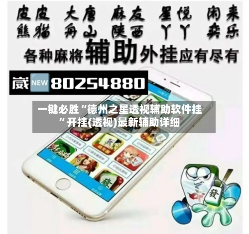 一键必胜“德州之星透视辅助软件挂”开挂(透视)最新辅助详细-第3张图片