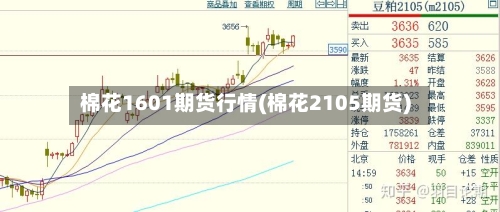 棉花1601期货行情(棉花2105期货)-第3张图片