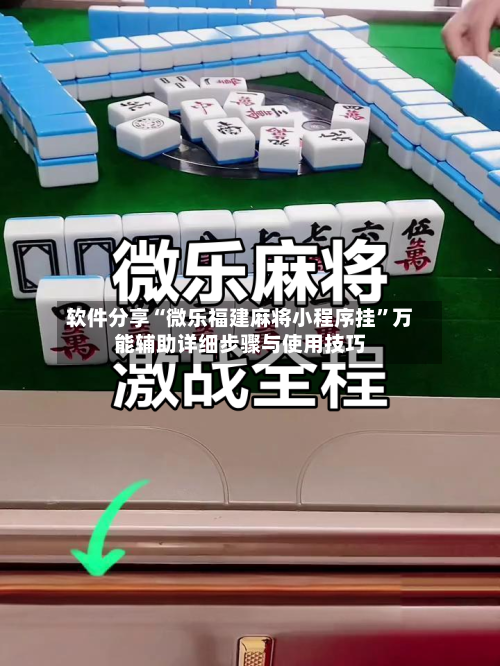 软件分享“微乐福建麻将小程序挂”万能辅助详细步骤与使用技巧-第2张图片