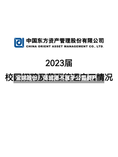 宝钢股份：防城港不属于公司资产