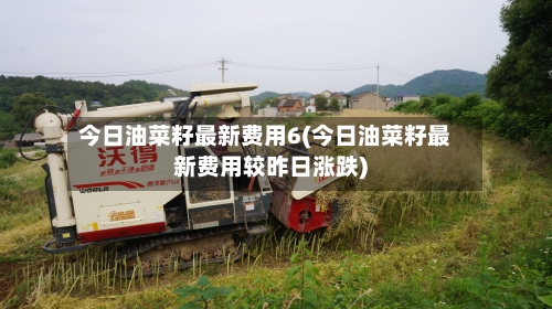 今日油菜籽最新费用6(今日油菜籽最新费用较昨日涨跌)-第3张图片