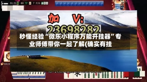 秒懂经验“微乐小程序万能开挂器”专业师傅带你一起了解(确实有挂-第3张图片