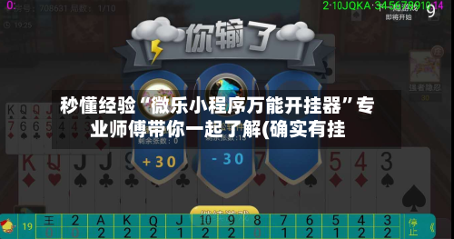 秒懂经验“微乐小程序万能开挂器	”专业师傅带你一起了解(确实有挂-第2张图片