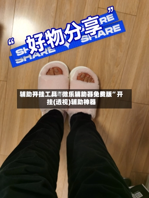 辅助开挂工具“微乐辅助器免费版	”开挂(透视)辅助神器-第3张图片