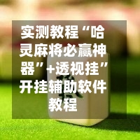 实测教程“哈灵麻将必赢神器	”+透视挂”开挂辅助软件教程-第3张图片