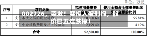 002726,突发!实控人被刑拘,股价已五连跌停!