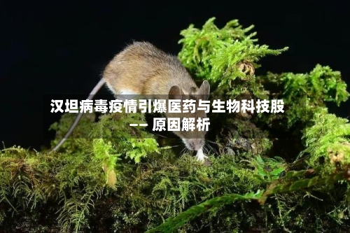 汉坦病毒疫情引爆医药与生物科技股 —— 原因解析-第2张图片