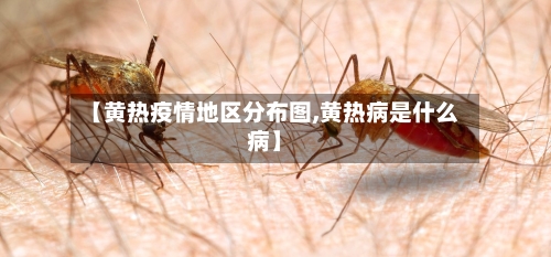 【黄热疫情地区分布图,黄热病是什么病】-第3张图片