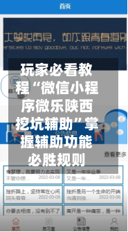 玩家必看教程“微信小程序微乐陕西挖坑辅助”掌握辅助功能必胜规则-第3张图片