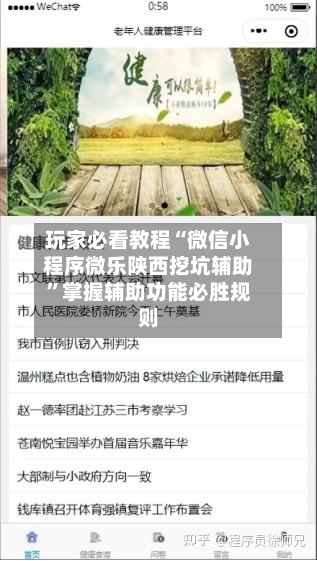 玩家必看教程“微信小程序微乐陕西挖坑辅助	”掌握辅助功能必胜规则-第2张图片