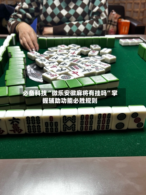 必备科技“微乐安徽麻将有挂吗”掌握辅助功能必胜规则-第3张图片