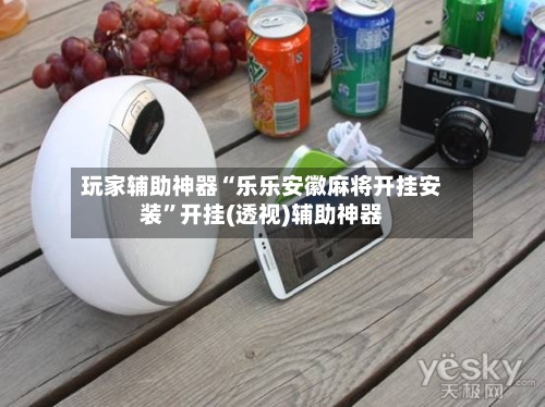 玩家辅助神器“乐乐安徽麻将开挂安装”开挂(透视)辅助神器-第2张图片