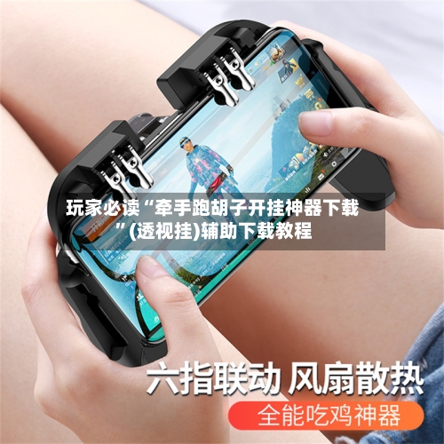 玩家必读“牵手跑胡子开挂神器下载”(透视挂)辅助下载教程-第2张图片