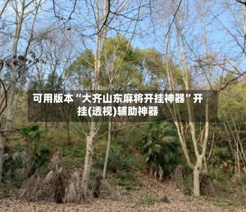 可用版本“大齐山东麻将开挂神器”开挂(透视)辅助神器-第3张图片