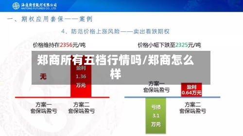 郑商所有五档行情吗/郑商怎么样