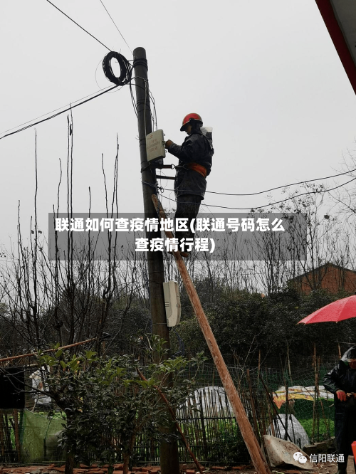 联通如何查疫情地区(联通号码怎么查疫情行程)
