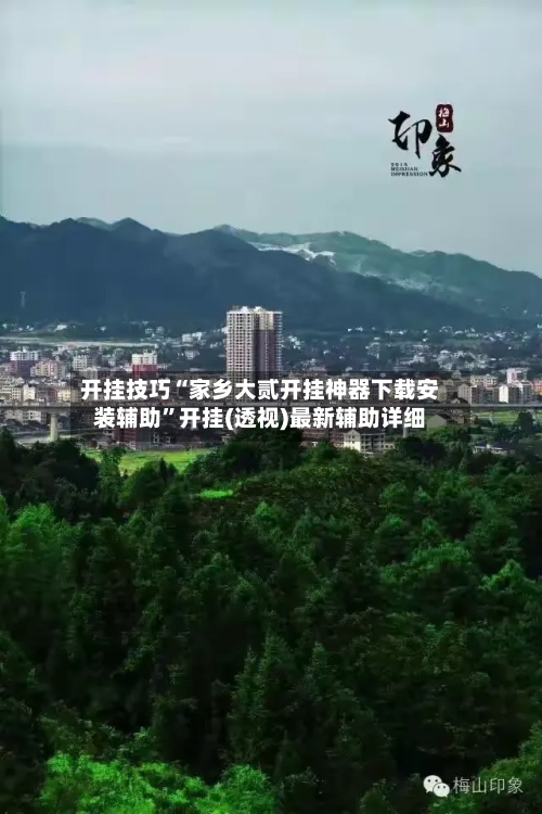 开挂技巧“家乡大贰开挂神器下载安装辅助”开挂(透视)最新辅助详细-第3张图片