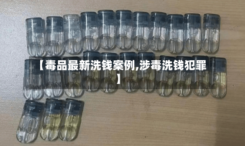 【毒品最新洗钱案例,涉毒洗钱犯罪】-第3张图片