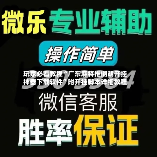 玩家必看教程“广东麻将推倒胡开挂神器下载软件”附开挂脚本详细教程-第2张图片