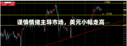 谨慎情绪主导市场,美元小幅走高