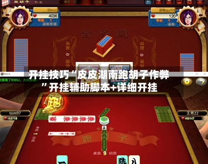 开挂技巧“皮皮湖南跑胡子作弊”开挂辅助脚本+详细开挂