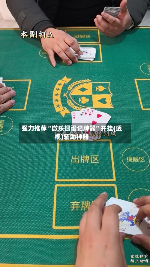 强力推荐“微乐掼蛋记牌器	”开挂(透视)辅助神器-第2张图片
