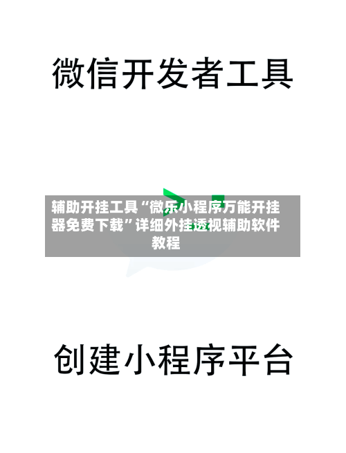 辅助开挂工具“微乐小程序万能开挂器免费下载”详细外挂透视辅助软件教程