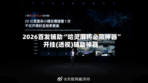 2026首发辅助“哈灵麻将必赢神器”开挂(透视)辅助神器-第2张图片