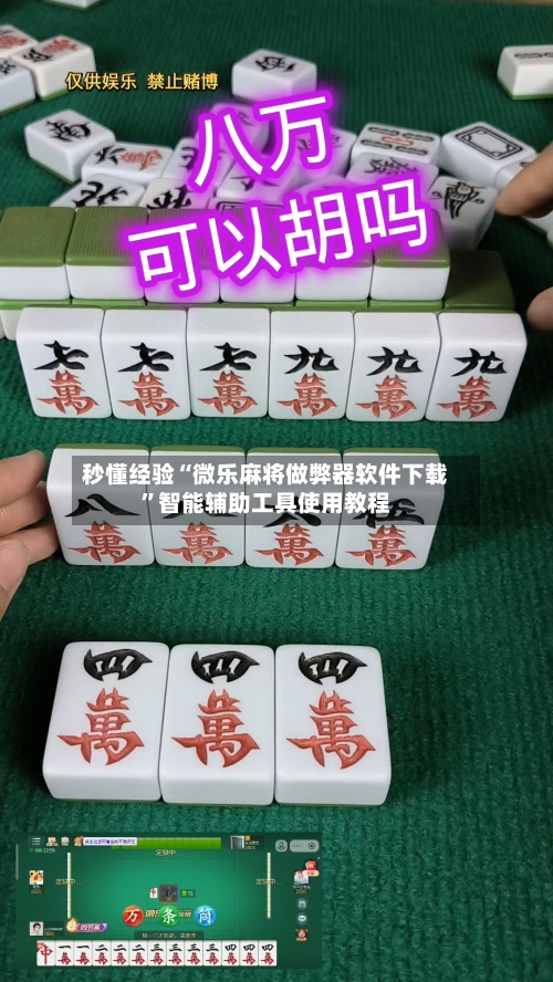 秒懂经验“微乐麻将做弊器软件下载”智能辅助工具使用教程-第2张图片