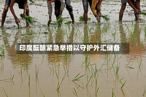 印度酝酿紧急举措以守护外汇储备