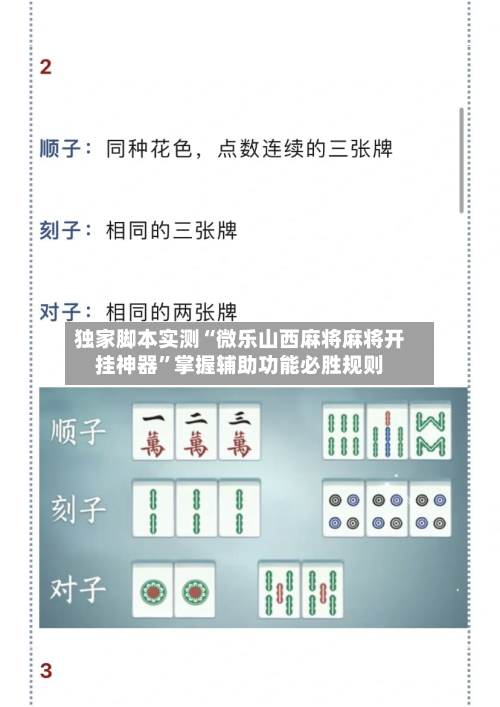 独家脚本实测“微乐山西麻将麻将开挂神器”掌握辅助功能必胜规则-第2张图片