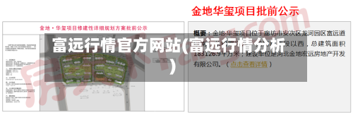 富远行情官方网站(富远行情分析)