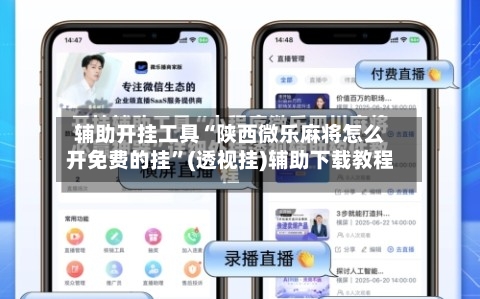 辅助开挂工具“陕西微乐麻将怎么开免费的挂”(透视挂)辅助下载教程-第2张图片
