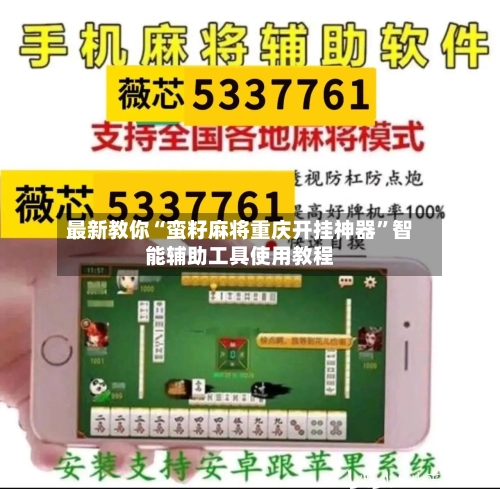 最新教你“蛮籽麻将重庆开挂神器”智能辅助工具使用教程-第2张图片