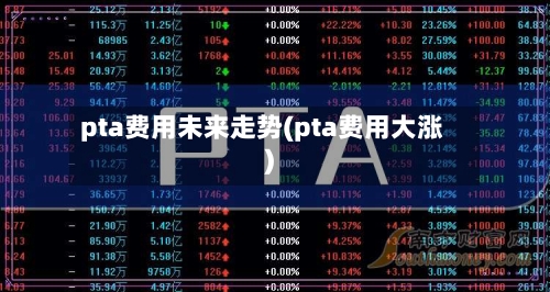 pta费用未来走势(pta费用大涨)