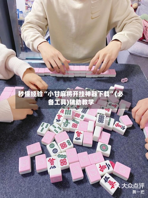 秒懂经验“小甘麻将开挂神器下载”(必备工具)辅助教学