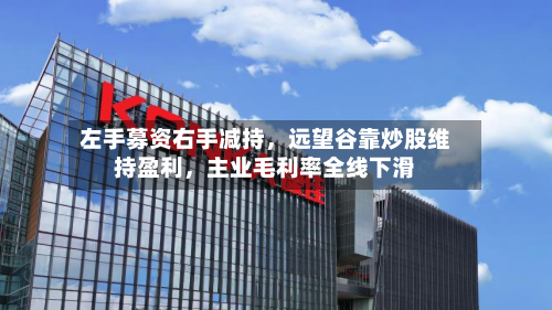 左手募资右手减持	，远望谷靠炒股维持盈利，主业毛利率全线下滑-第2张图片