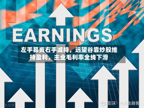 左手募资右手减持,远望谷靠炒股维持盈利,主业毛利率全线下滑